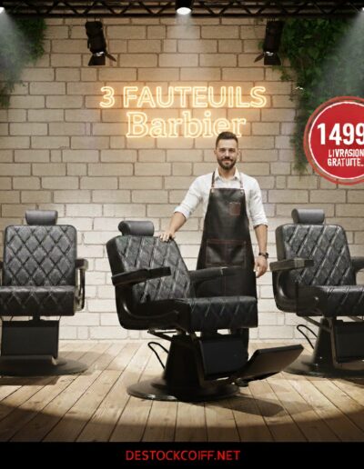 3 Fauteuils d'excellence