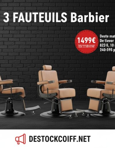 Offre Fauteuils Barbier